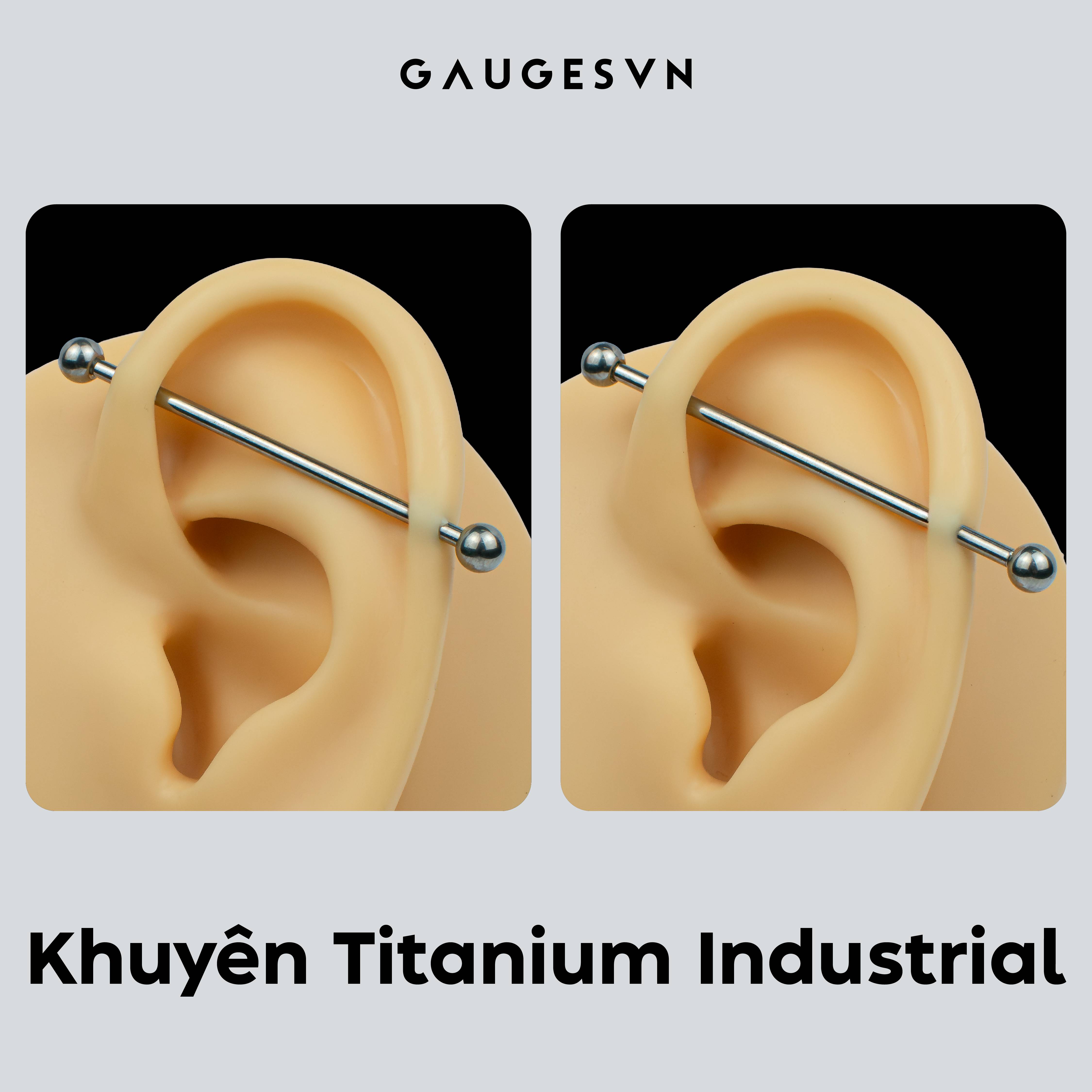 Khuyên indus TITANIUM 2 đầu bi size 36mm và 40mm